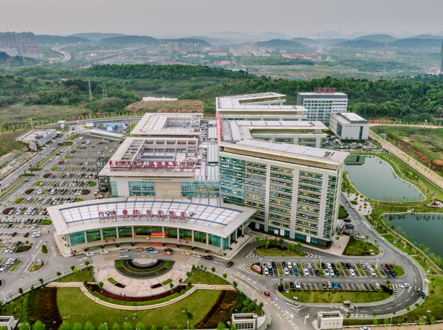 中亞工程案例展示丨積極參與改革建設(shè)，為理想添磚加瓦