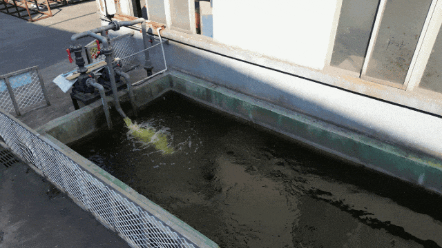 喜訊！中亞鋁業榮獲企業綠色品牌！(圖7)